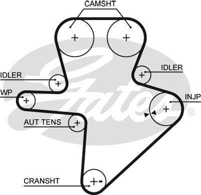 Timing belt for - timing,