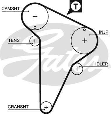 Timing belt for - timing,
