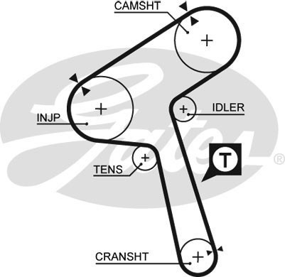 Timing belt for - timing,