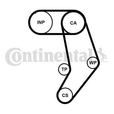 Timing belt set for eurovan - belt,