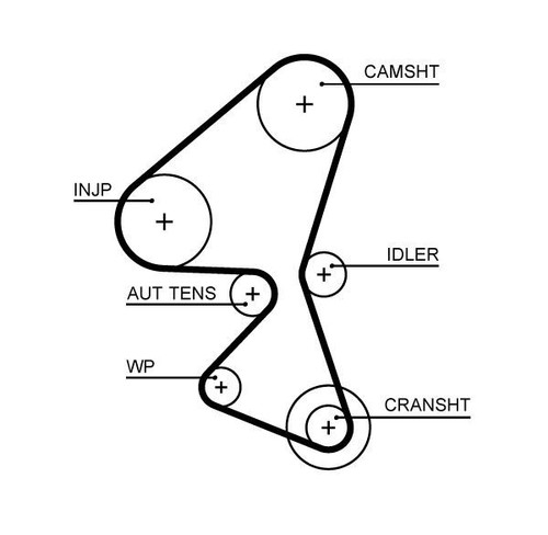 Timing belt cam - timing,