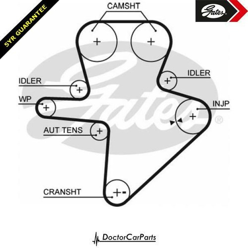 Cam timing belt for - belt,