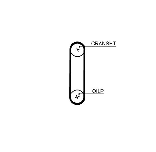 Oil pump timing belt - oil, ford
