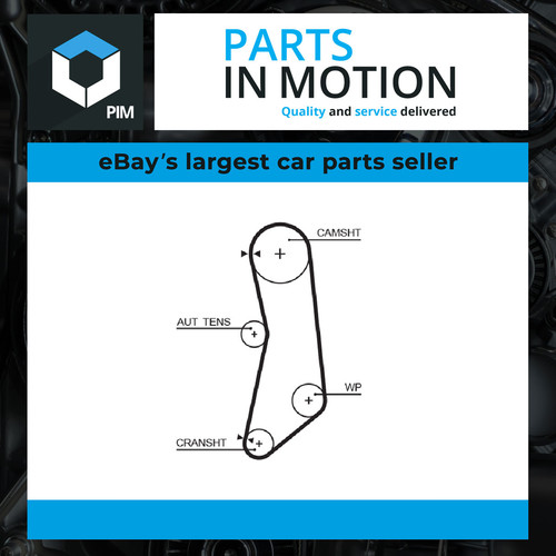Timing belt fits fiat panda - fits,